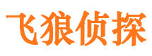 临高市侦探调查公司